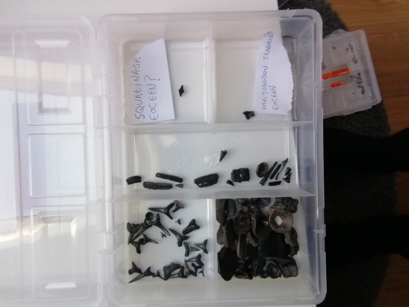 IMG_20200401_133507.jpg (1.12 MiB) 1627 keer bekeken IMG_20200401_133507.jpg