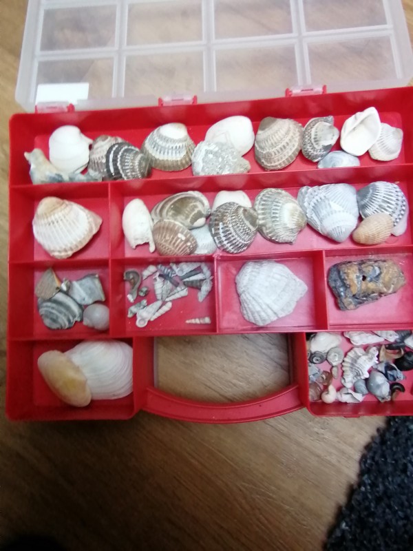 IMG_20200401_134015.jpg (1.42 MiB) 1468 keer bekeken IMG_20200401_134015.jpg