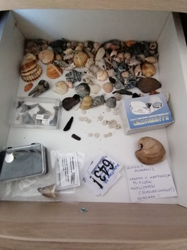 IMG_20200401_132704.jpg (1.28 MiB) 1581 keer bekeken IMG_20200401_132704.jpg