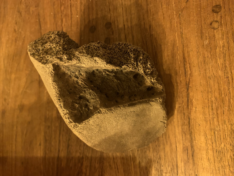 IMG_7206.jpeg (2.99 MiB) 2020 keer bekeken IMG_7206.jpeg