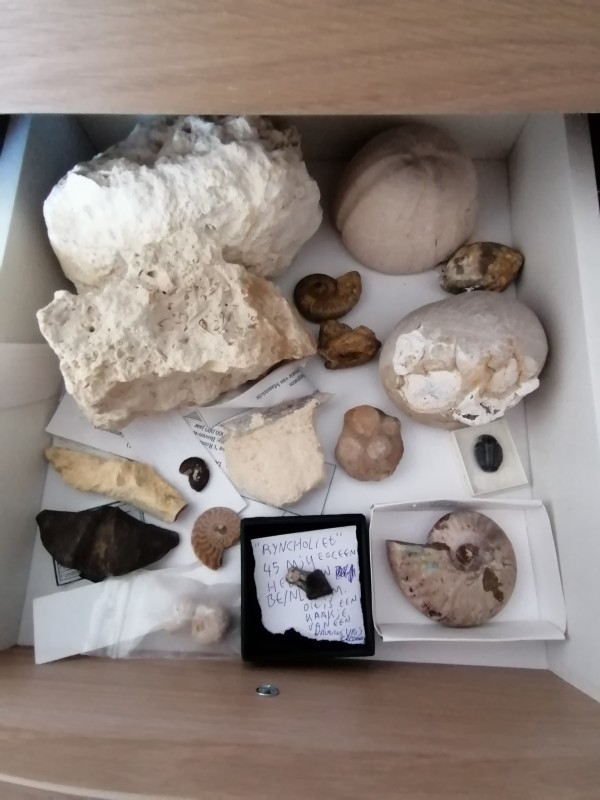 IMG_20200401_132732.jpg (1.22 MiB) 1633 keer bekeken IMG_20200401_132732.jpg