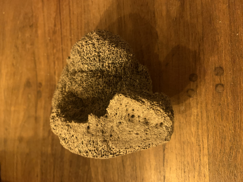 IMG_7208.jpeg (2.96 MiB) 2020 keer bekeken IMG_7208.jpeg