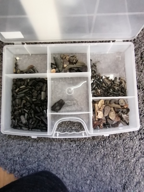 IMG_20200401_133903.jpg (1.69 MiB) 1466 keer bekeken IMG_20200401_133903.jpg