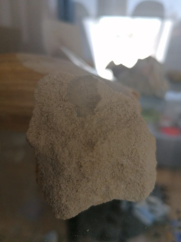 IMG_20200401_132224.jpg (2.07 MiB) 1632 keer bekeken IMG_20200401_132224.jpg