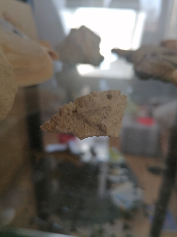 IMG_20200401_132236.jpg (2.14 MiB) 1499 keer bekeken IMG_20200401_132236.jpg