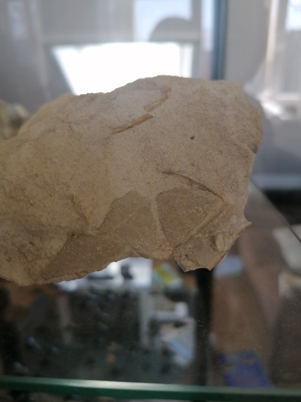 IMG_20200401_132241.jpg (2.27 MiB) 1632 keer bekeken IMG_20200401_132241.jpg