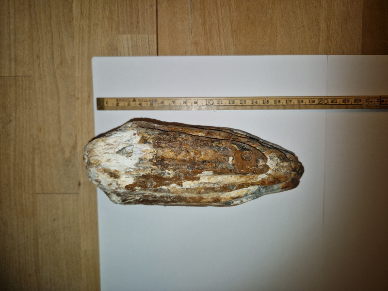 20240419_164129.jpg (3.21 MiB) 1563 keer bekeken 20240419_164129.jpg