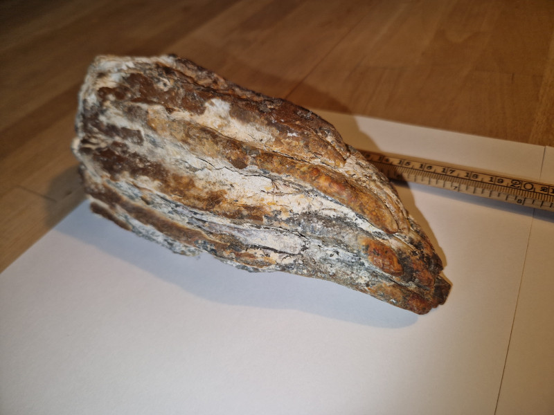 20240419_164134.jpg (3.18 MiB) 1563 keer bekeken 20240419_164134.jpg