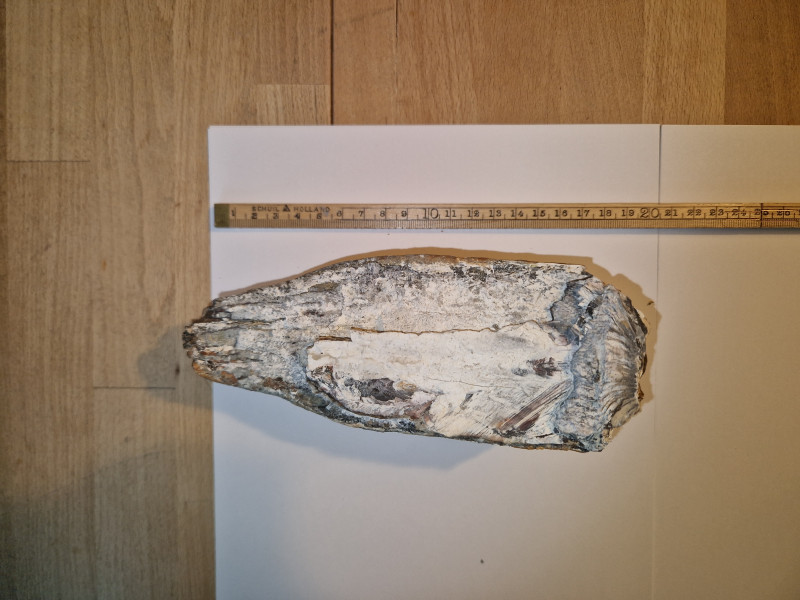 20240419_164143.jpg (3.24 MiB) 1563 keer bekeken 20240419_164143.jpg