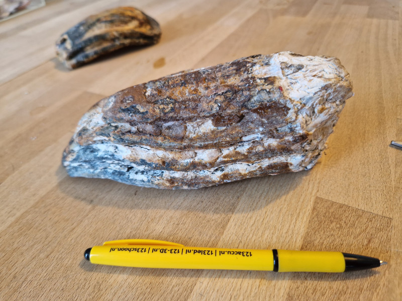 20240419_163111.jpg (3.66 MiB) 1560 keer bekeken 20240419_163111.jpg