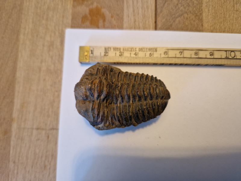 20240420_111846.jpg (2.85 MiB) 6225 keer bekeken 20240420_111846.jpg