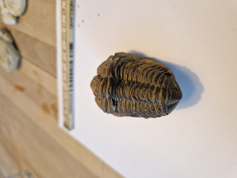 20240420_111853.jpg (2.6 MiB) 6225 keer bekeken 20240420_111853.jpg