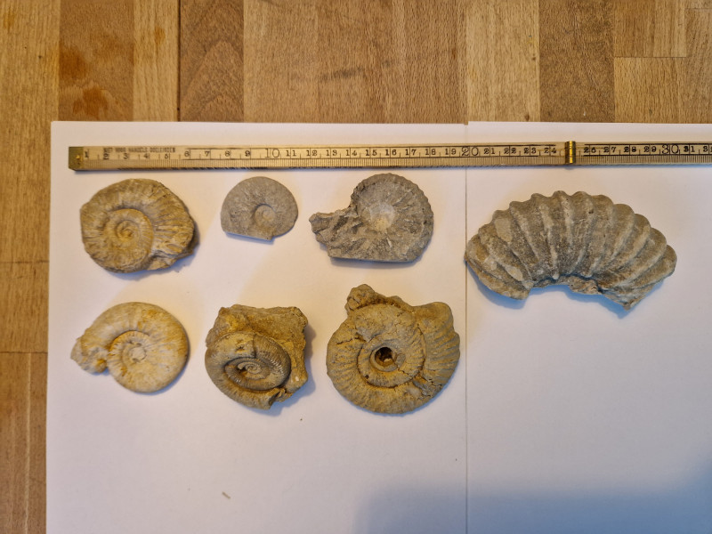 20240420_111609.jpg (3.43 MiB) 7474 keer bekeken 20240420_111609.jpg