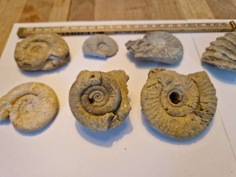 20240420_111613.jpg (3.3 MiB) 7474 keer bekeken 20240420_111613.jpg