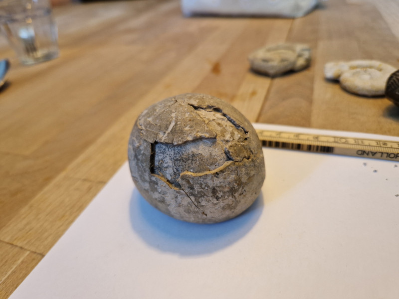 20240420_111949.jpg (3.24 MiB) 2853 keer bekeken 20240420_111949.jpg