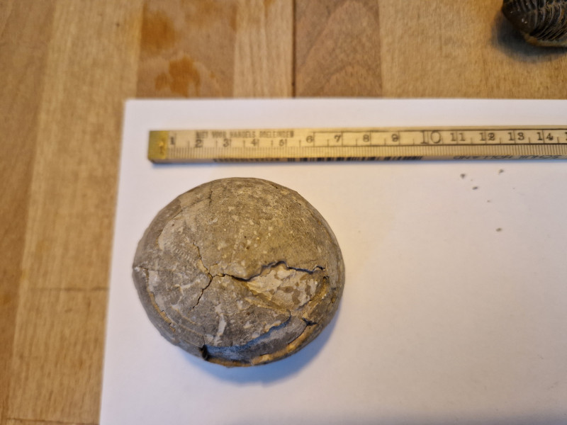 20240420_111946.jpg (3.21 MiB) 2441 keer bekeken 20240420_111946.jpg