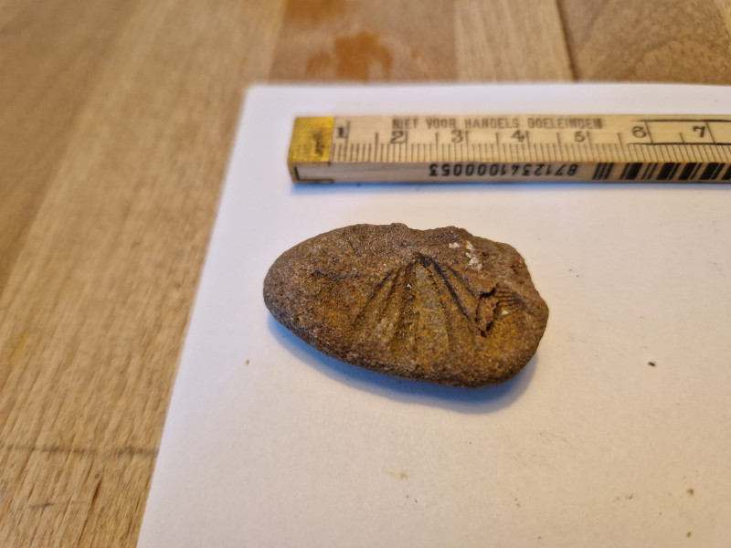 20240420_111922.jpg (3.22 MiB) 2441 keer bekeken 20240420_111922.jpg