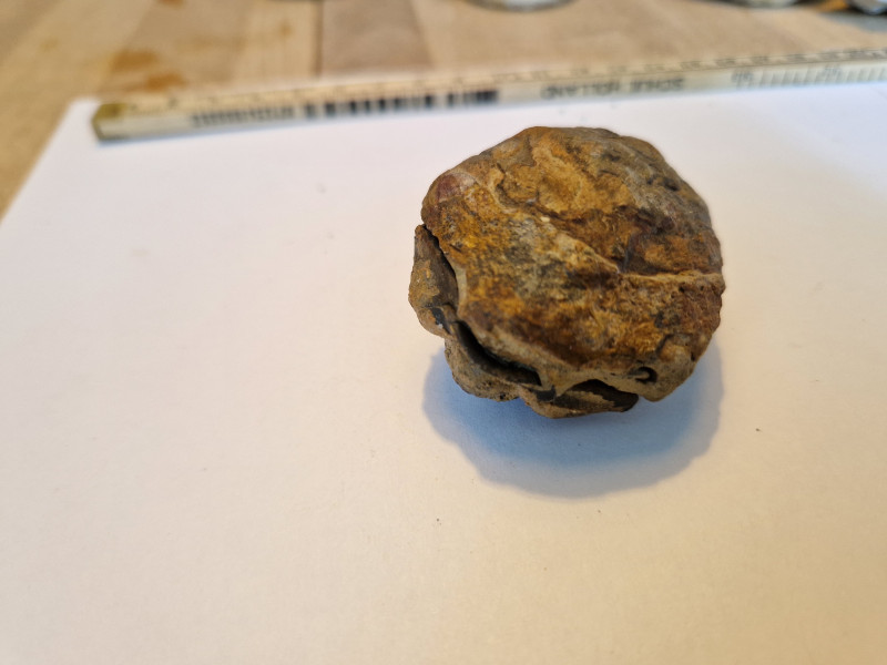 20240420_111909.jpg (2.53 MiB) 2441 keer bekeken 20240420_111909.jpg