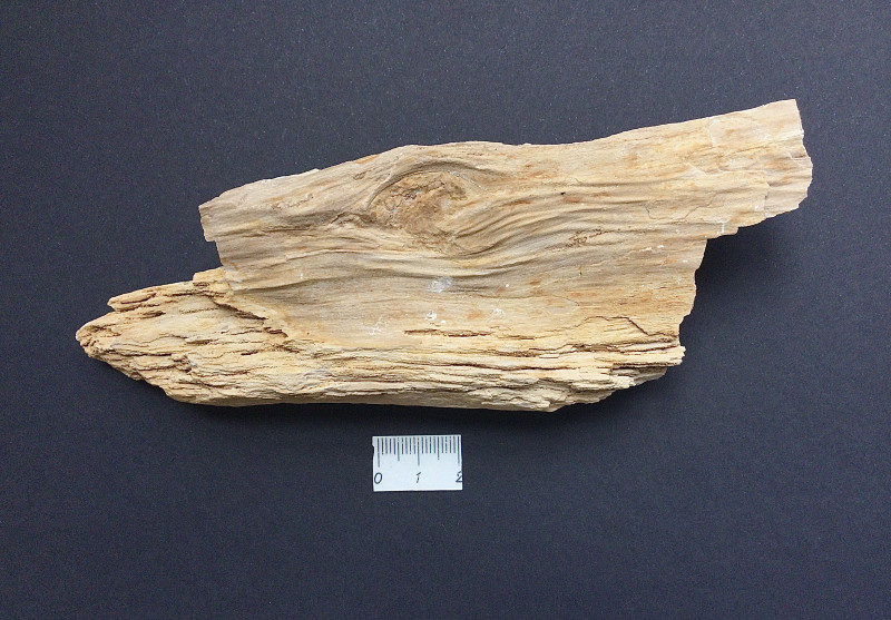 C76EEA07-DCFA-41D7-AF79-E9138FF896EC.jpeg (3.7 MiB) 7809 keer bekeken Voorzijde 1