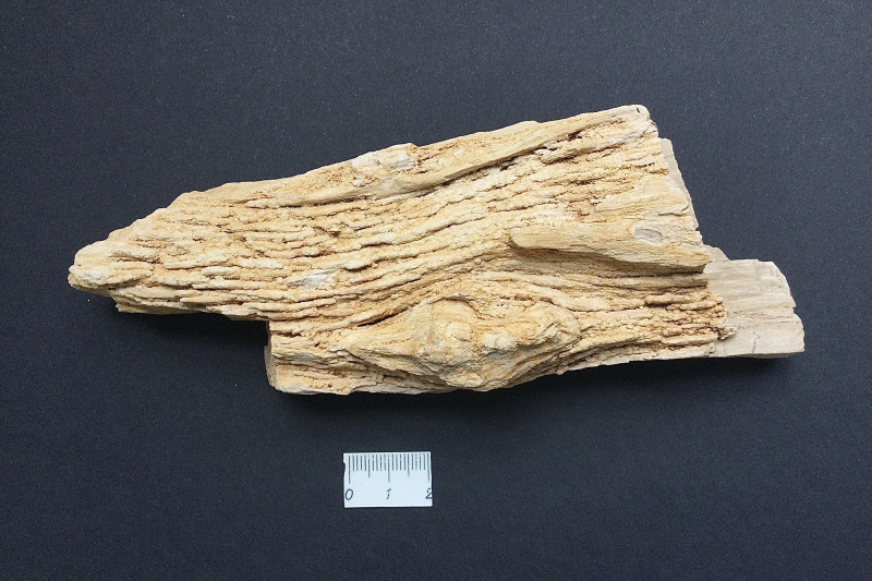 34FDB0A9-7BED-41F5-9B45-5422AEA1A75E.jpeg (3.58 MiB) 7809 keer bekeken Achterzijde 1