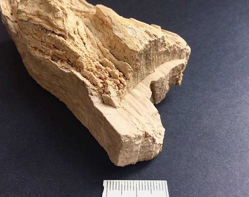 2D353443-40A2-480E-8758-FC9EFD64C119.jpeg (2.67 MiB) 7810 keer bekeken Zijkant 1