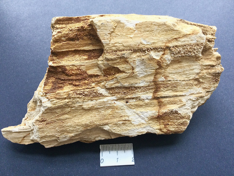 8C00172A-5920-45FE-AC8B-87505E7E7C72.jpeg (4.32 MiB) 7809 keer bekeken Voorzijde 2