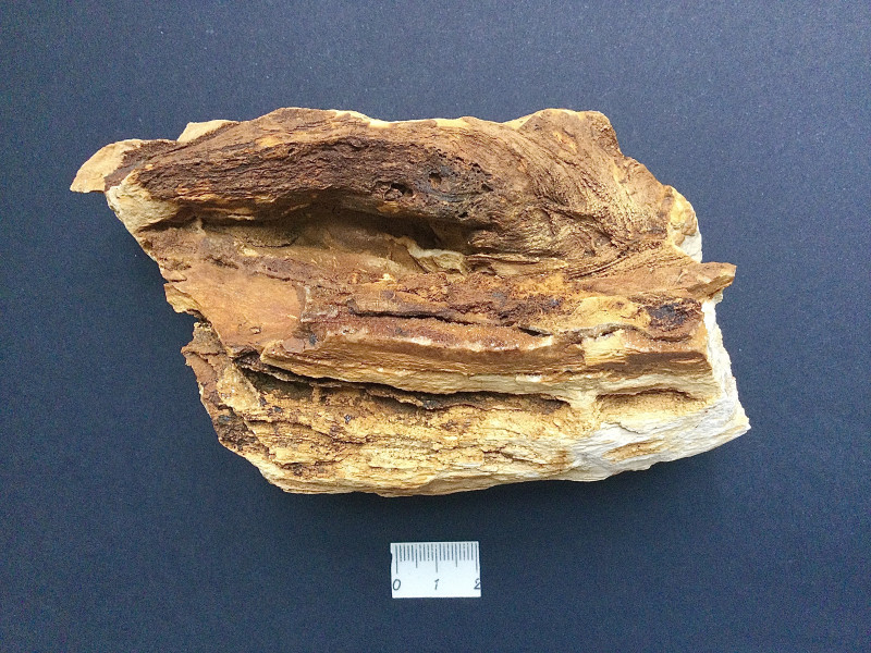 A60FCC04-74DB-4904-99BE-26D5E2220132.jpeg (4.55 MiB) 7810 keer bekeken Achterzijde 2