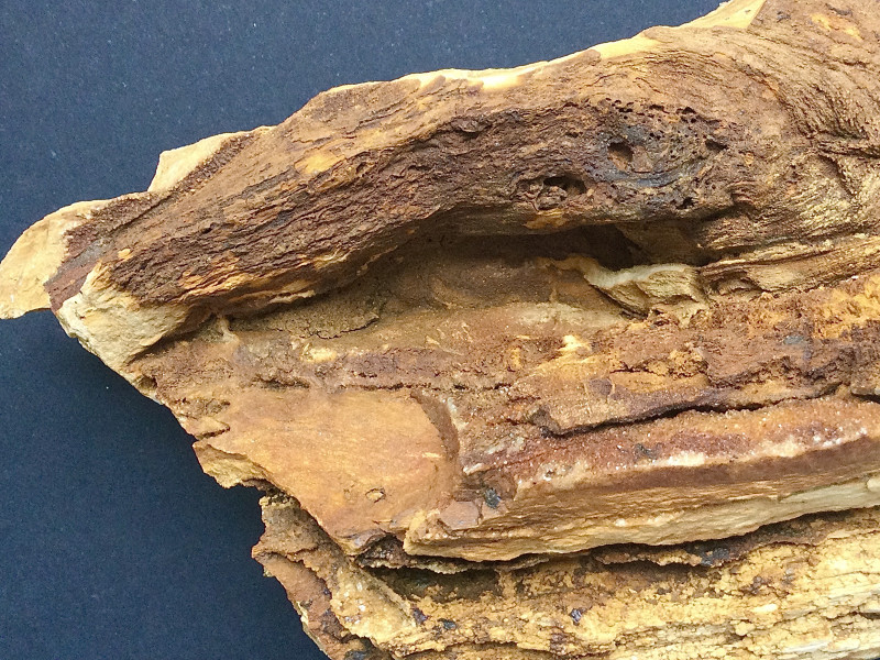 617AE8B5-F5C1-4672-B6A1-47EEDBEDB935.jpeg (3.38 MiB) 7809 keer bekeken Detail 2