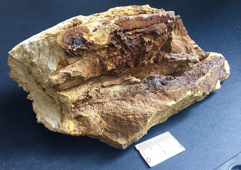 F471C1BB-E5FD-41CE-AEB5-A7BB5788210F.jpeg (4.28 MiB) 7809 keer bekeken Detail 2