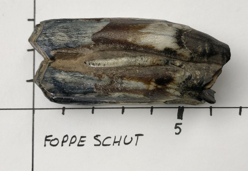 kies.jpg (693.46 KiB) 1198 keer bekeken kies.jpg