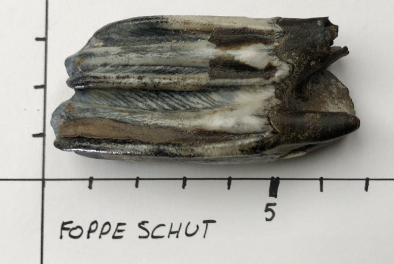 kies1.jpg (651.13 KiB) 1198 keer bekeken kies1.jpg