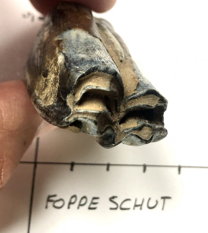kies2.jpg (540.17 KiB) 1295 keer bekeken kies2.jpg