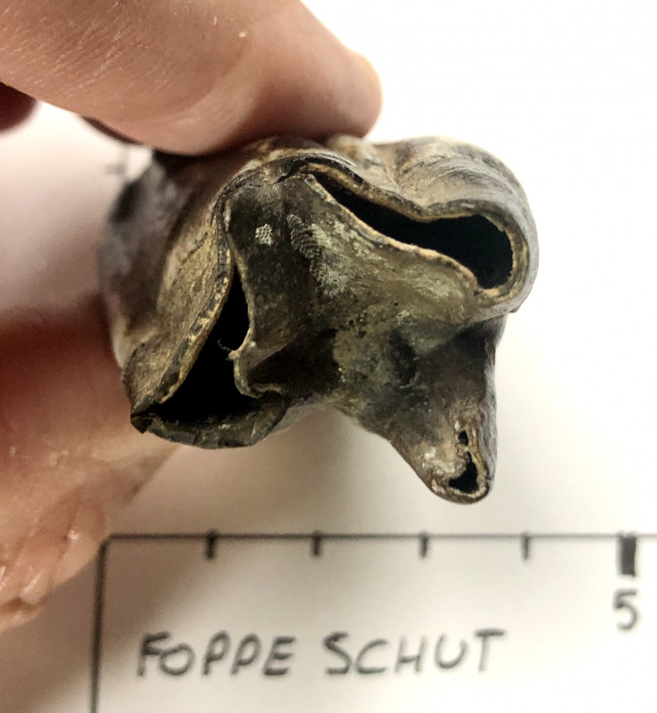 kies3.jpg (703 KiB) 1295 keer bekeken kies3.jpg