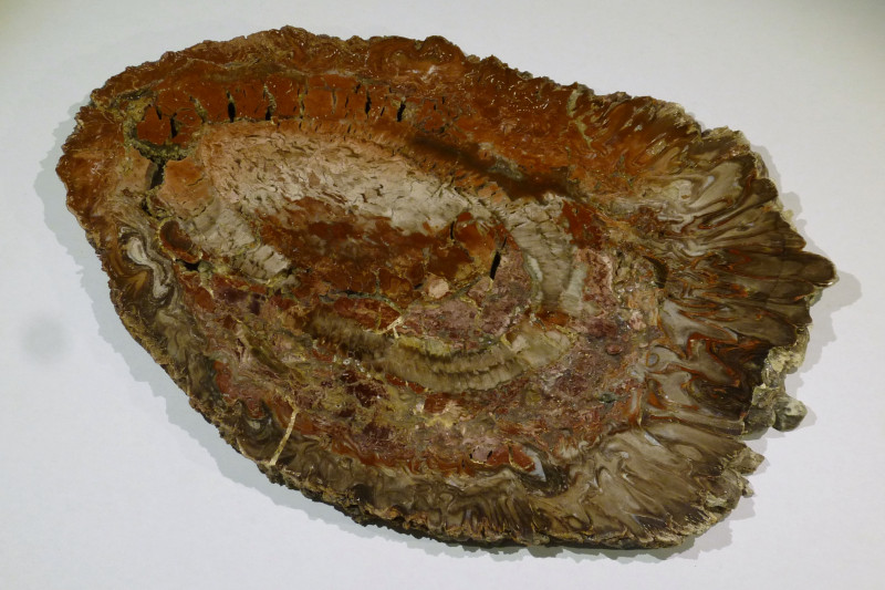 TKTW0611.JPG