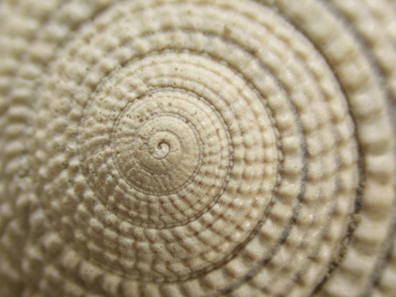 D2BD8748-F016-4242-A271-D234D7E006CF.png