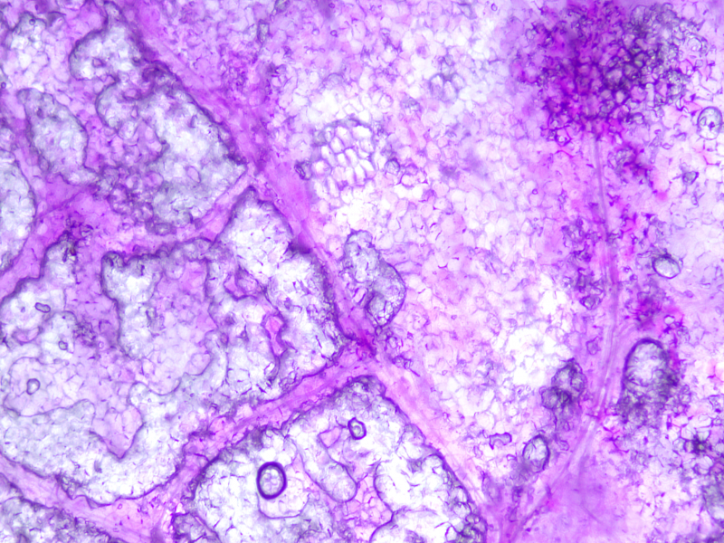 BD5EBF4C-B5DE-464D-88A1-EF2BCAFA8C9B.png