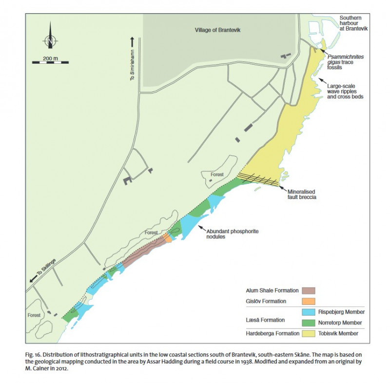 Screenshot 2024-02-25 at 20-34-53 The Lower Palaeozoic of southern Sweden and the Oslo Region Norway - CalnerM.etal.2013TheLowerPalaeozoicofsouthernSwedenandtheOsloRegionNorway...IGCP591.jpg