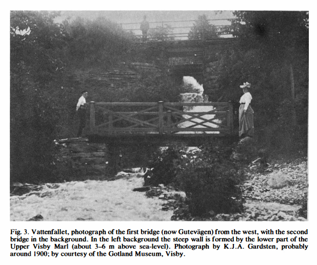 Screenshot 2024-06-07 at 12-18-25 Lower Wenlock faunal and floral dynamics – Vattenfallet section Gotland - Jaanussonetal1979-LowerWenlockVattenfallet.pdf.png