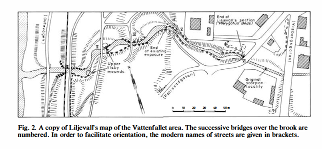 Screenshot 2024-06-07 at 12-18-00 Lower Wenlock faunal and floral dynamics – Vattenfallet section Gotland - Jaanussonetal1979-LowerWenlockVattenfallet.pdf.png