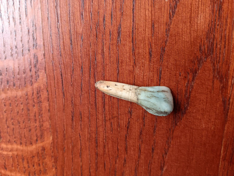 20240602_145819.jpg (4.51 MiB) 1847 keer bekeken Grootte tov vinger