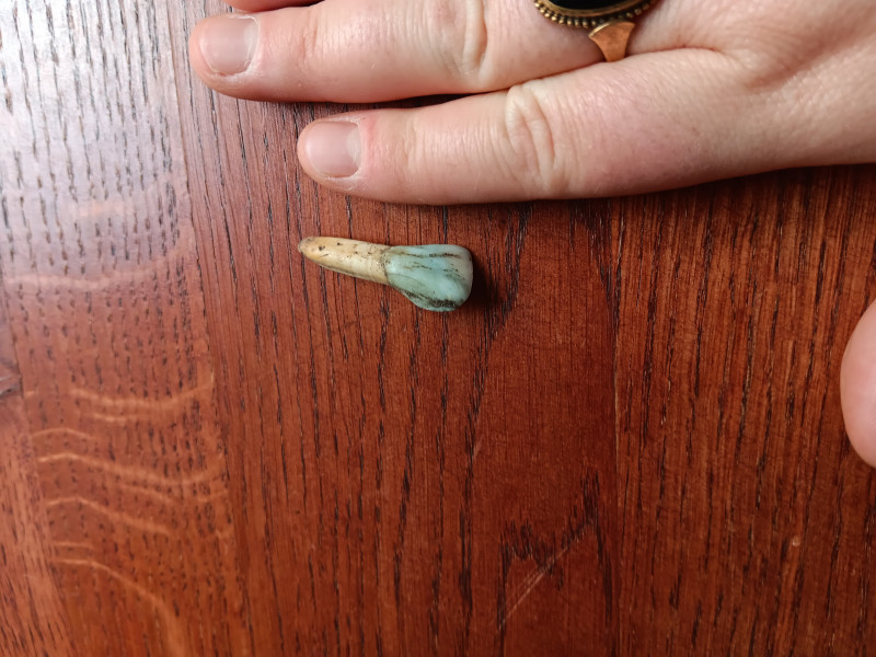 20240602_145827.jpg (3.19 MiB) 1824 keer bekeken Tand1