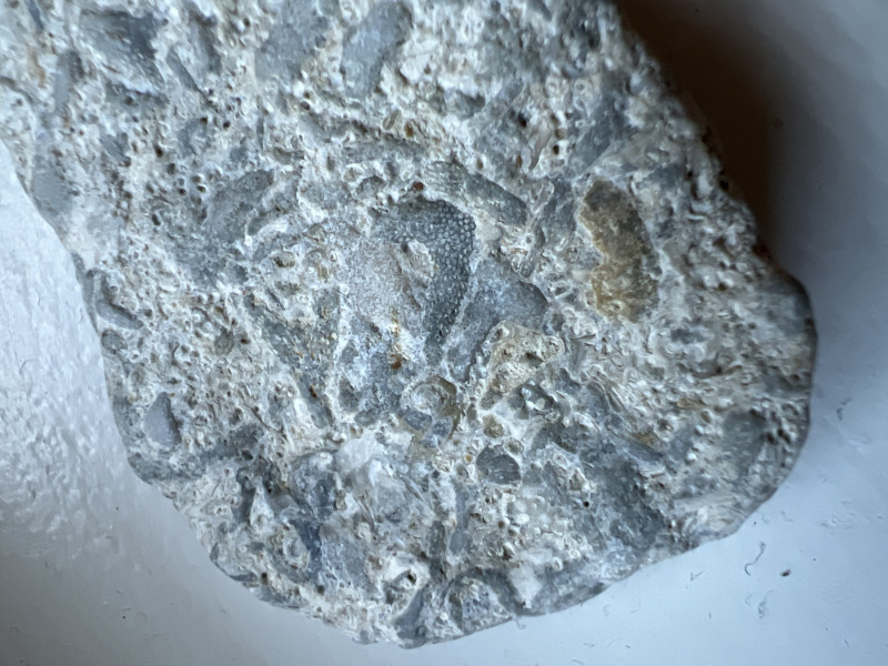 Steen 1 - close up
