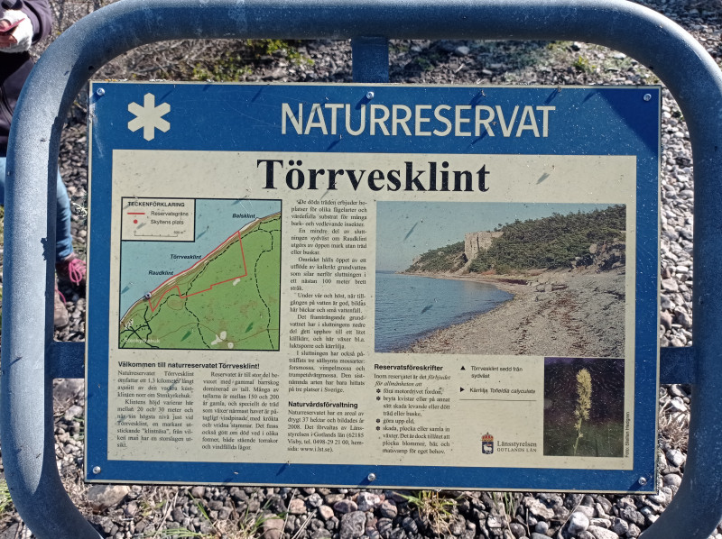 2024-05-07 09.24 Stenkyrkehuk.jpg