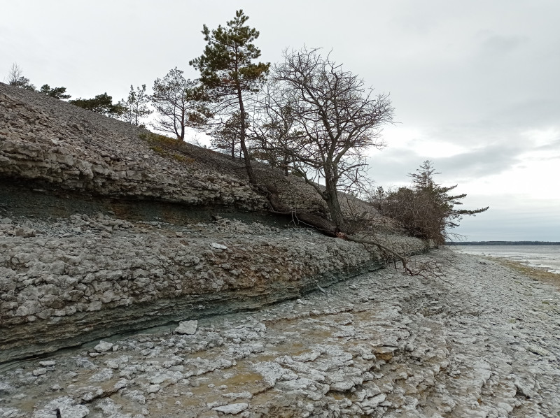 2024-05-08 15.33 Gothemhammar.jpg (3.12 MiB) 1867 keer bekeken Grensbereik tussen de Halla- en Klinteberg-formaties