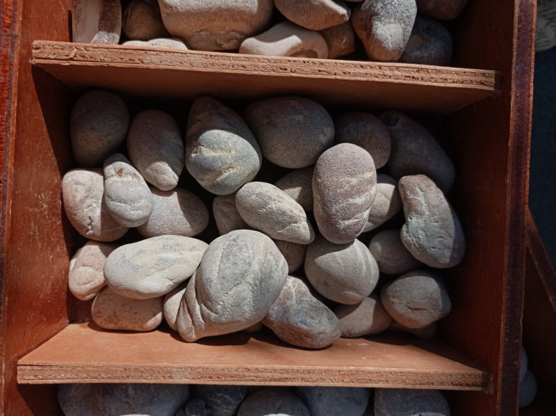 1718449944528.jpg (2.53 MiB) 4519 keer bekeken Caryoconus gothlandicus