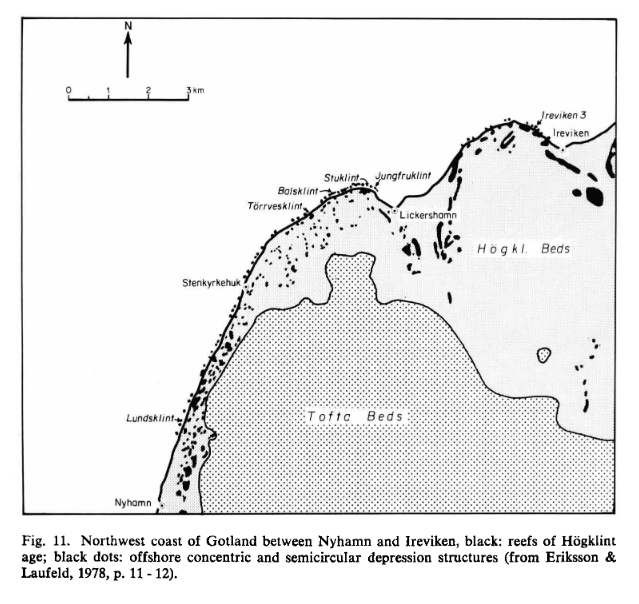 Riffen in de Högklint Formatie