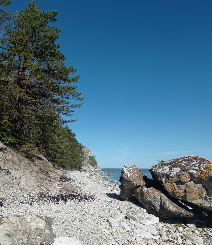 2024-05-14 08.42.jpg (2.52 MiB) 4592 keer bekeken versteende schildpad ;-)