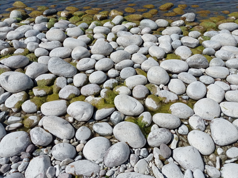 wit uitgeslagen, onherkenbare strandkeien