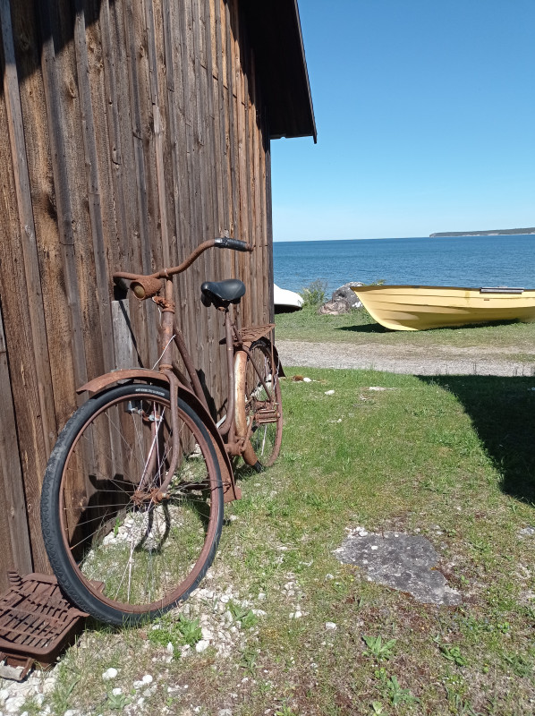 2024-05-14 12.19.jpg (5.91 MiB) 5493 keer bekeken 'vergeten' fiets