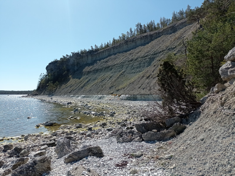 2024-05-14 10.23 O Visbymergel (9m) met daarboven 15 m B Visby en rif Högklint-Fm.jpg (6.14 MiB) 4294 keer bekeken De overgang tussen de verschillende afzettingen erg mooi te bestuderen. Onderaan het klif de Onder Visby-lagen, daarboven de iets kalkiger en fossielrijke Boven Visby-lagen en bovenaan de hardere Högklint Formatie.